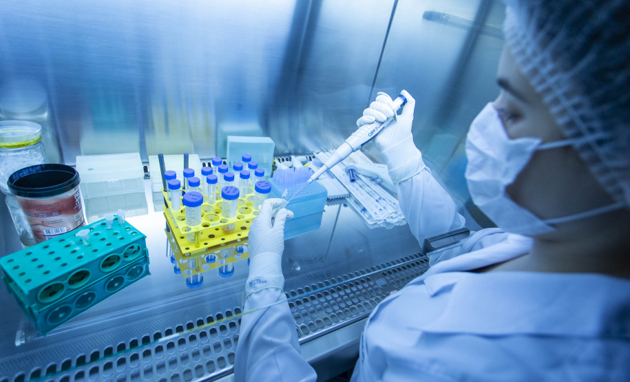 Pesquisadores da Universidade Estadual de Maringá (UEM) darão início, até o final de julho, a duas importantes pesquisas sobre o novo coronavírus. De acordo com a professora e pesquisadora Márcia Consolaro, do Departamento de Análises Clínicas e Biomedicina (DAB) da UEM, e coordenadora local dos dois estudos, o objetivo é compreender a interação do vírus com o organismo e seu comportamento na sociedade, assim como as taxas de transmissibilidade.  FOTO:UEM