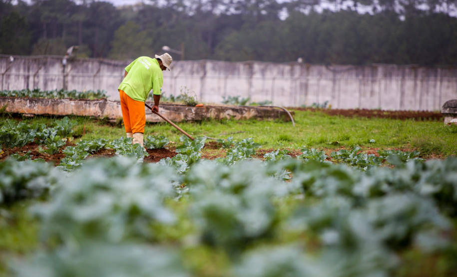 Mais de 29% dos presos trabalham no Paraná
-Foto: Gilson Abreu/AEN