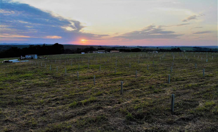 Obra de usina solar da Copel em Bandeirantes segue durante quarentena 
.Foto:Copel