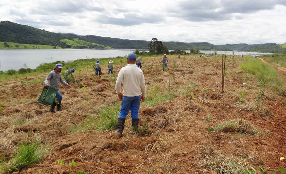 Paraná é premiado por projeto de recuperação de áreas degradadas. Foto:Copel