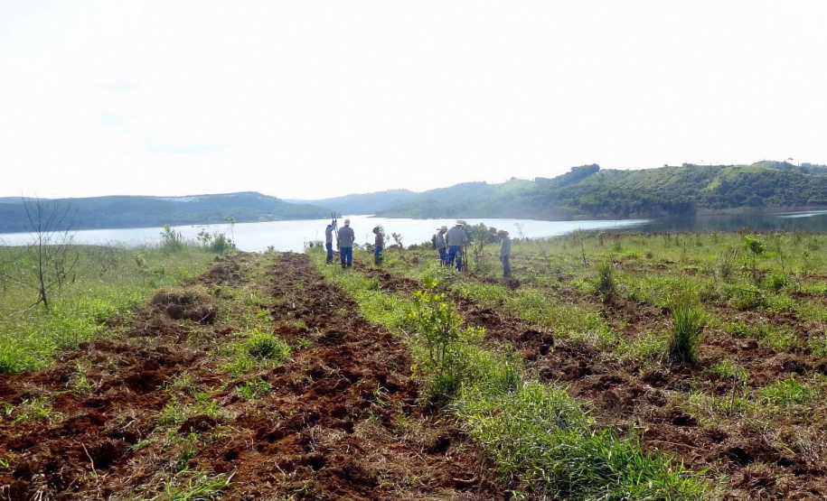 Paraná é premiado por projeto de recuperação de áreas degradadas. Foto:Copel
