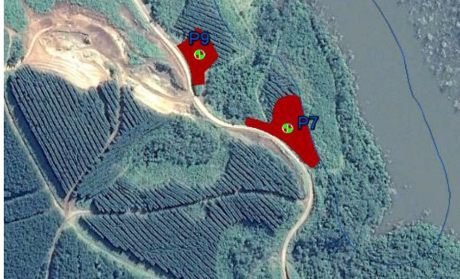 Paraná é premiado por projeto de recuperação de áreas degradadas. Foto:Copel