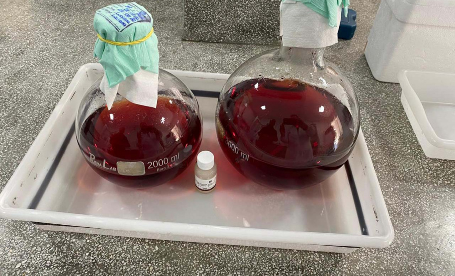 Sesa conta hoje com 99 bolsistas nas ações de enfrentamento da Covid-19 
.Foto:SESA