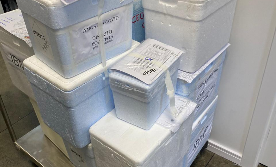 Sesa conta hoje com 99 bolsistas nas ações de enfrentamento da Covid-19 
.Foto:SESA