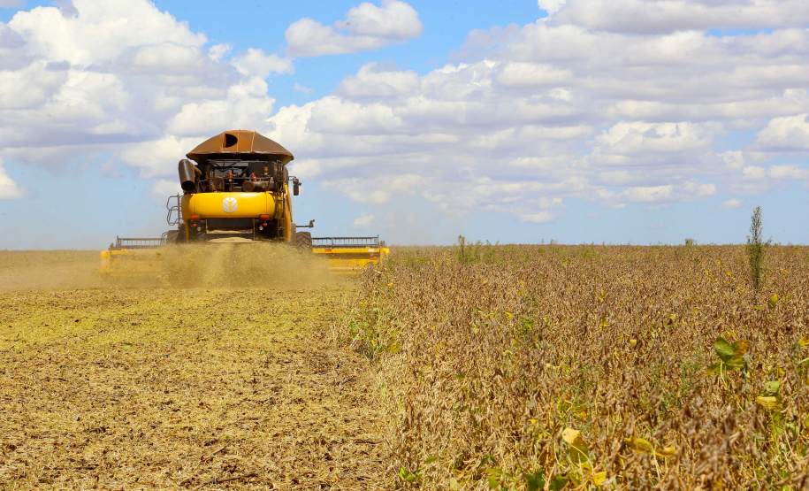 PIB do Paraná aumentou 2,3% no primeiro trimestre de 2020. Fotos:Jaelson Lucas / AEN