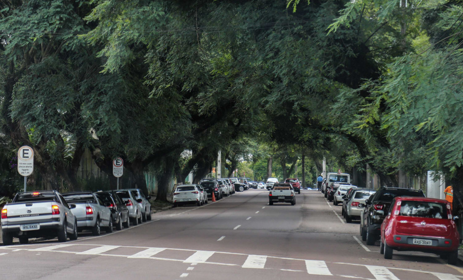 Foto: Geraldo Bubniak/AEN