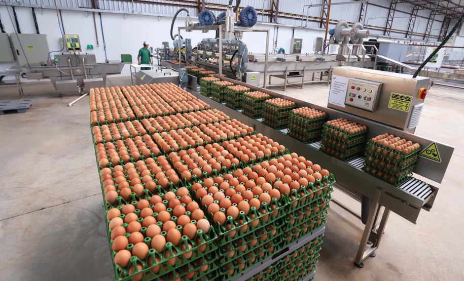 Indústria de alimentos opera em 97% e vendas crescem no ano. Foto: Arnaldo Alves/AEN