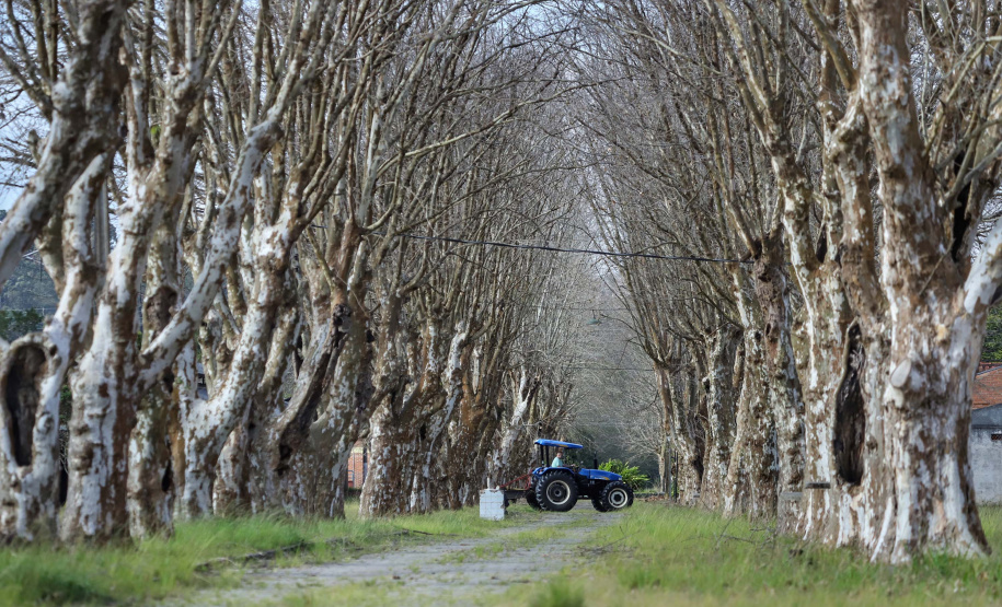A Granja do Canguiri, ex-residência oficial dos governadores paranaenses, terá uma nova utilidade e será transformada na Escola Agrícola 4.0. O governador Carlos Massa Ratinho Junior assinou nesta terça-feira (28) o documento que formaliza a transferência do imóvel, localizado em Pinhais, na Região Metropolitana de Curitiba, para a Secretaria de Estado da Educação e do Esporte, que será responsável pela implantação do projeto-piloto da unidade.