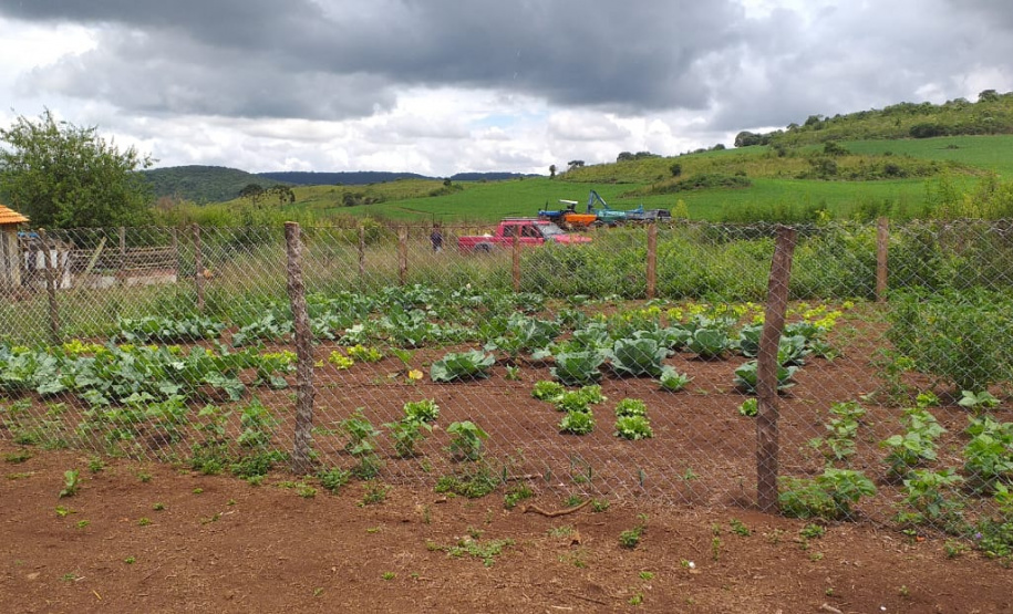 Apoio a famílias rurais é destacado no Dia do Agricultor
.Foto:SEJUF