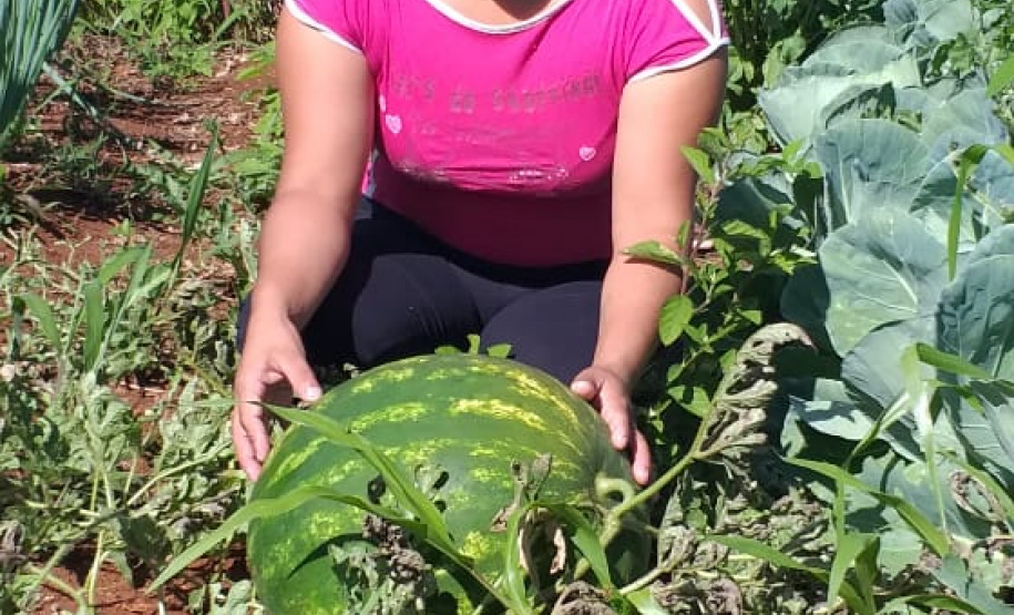 Apoio a famílias rurais é destacado no Dia do Agricultor
.Foto:SEJUF