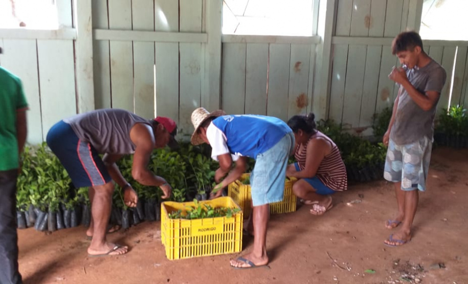 Apoio a famílias rurais é destacado no Dia do Agricultor
.Foto:SEJUF