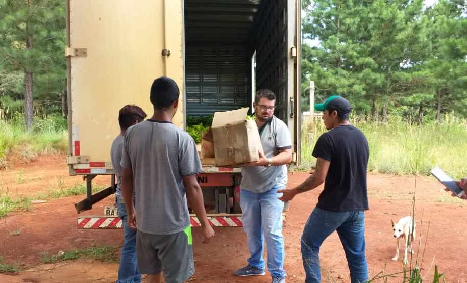 Apoio a famílias rurais é destacado no Dia do Agricultor
.Foto:SEJUF