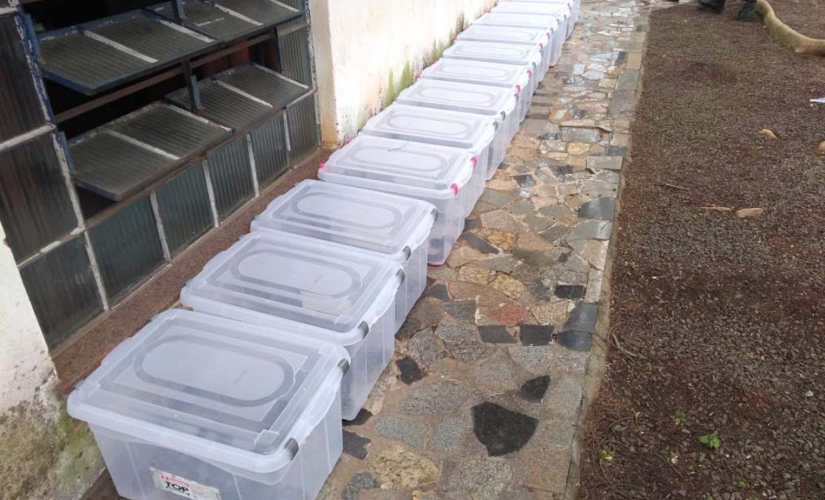 153 cobras peçonhentas são recolhidas de residência em Mandaguari
Foto:SEDEST/Polícia Ambiental