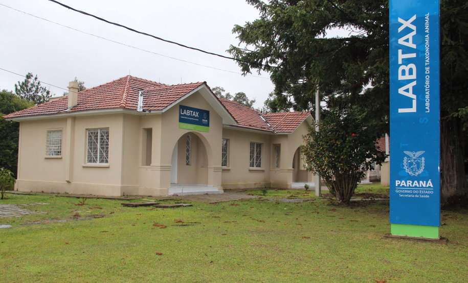 Sesa vai reativar a produção de soro contra picadas de cobras
. Foto:SESA