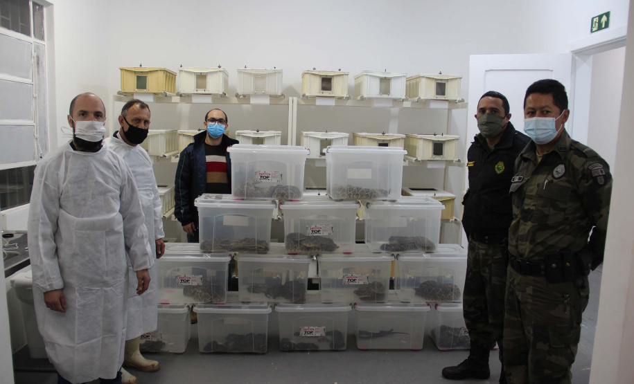 Sesa vai reativar a produção de soro contra picadas de cobras
. Foto:SESA