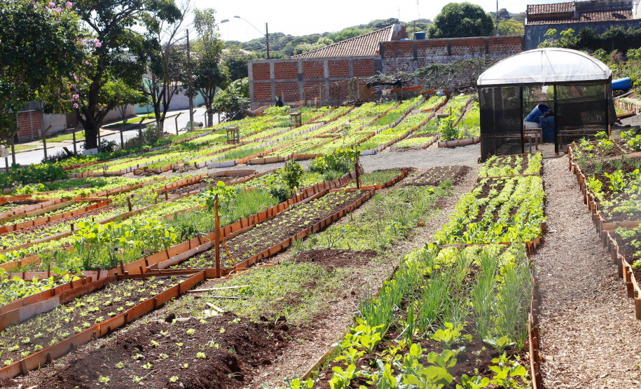 Novos restaurantes populares vão quase dobrar atendimento em Maringá