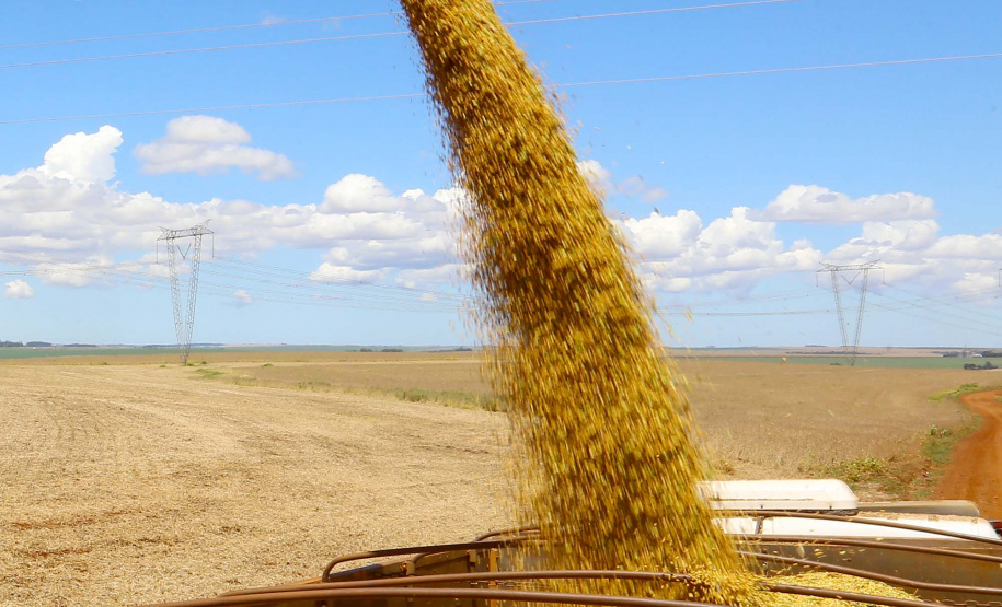 Safra soja 2020. Fotos:Jaelson Lucas / AEN