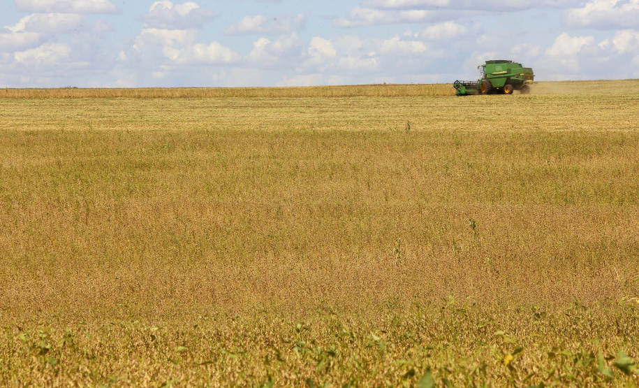 Safra soja 2020. Fotos:Jaelson Lucas / AEN