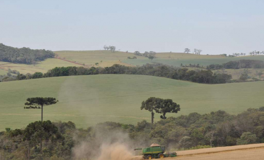 IDR-Paraná completa 200 dias de existência
.Foto:IDR