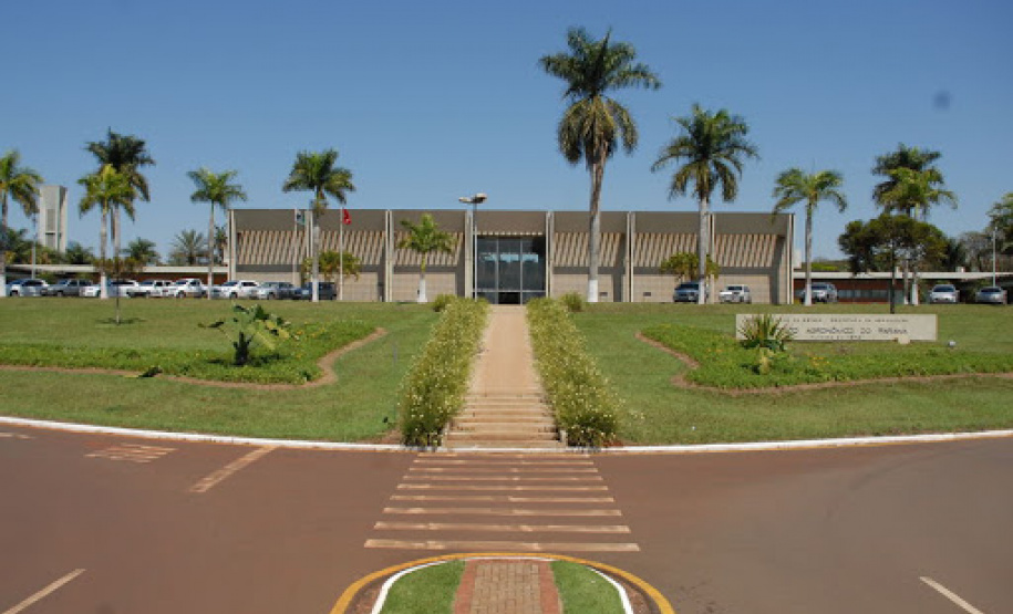 IDR-Paraná completa 200 dias de existência
.Foto:IDR