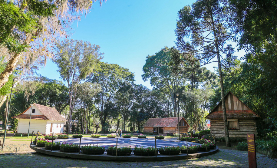 Bosque Papa João Paulo II no Centro Cívico em Curitiba.  Curitiba, 09/07/2019 -  Foto: Geraldo Bubniak/ANPr