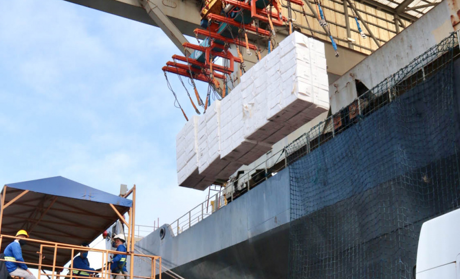 O Porto de Paranaguá faz nesta semana uma operação diferente. O navio Penguin Arrow, atracado no berço 215, opera, simultaneamente, dois tipos de cargas diferentes. Ao mesmo tempo que descarrega malte, é embarcada 45.758 toneladas de celulose – a segunda maior quantidade do produto movimentada no porto paranaense.