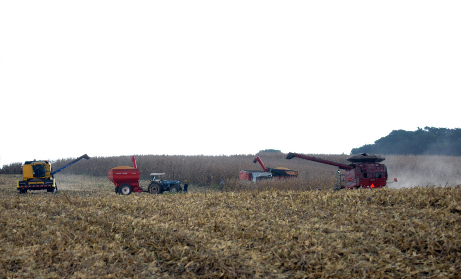 VBP do Paraná em 2019 bate
recorde e soma R$ 97,7 bilhões. Fotos Chuniti Kawamura/Arquivo AEN