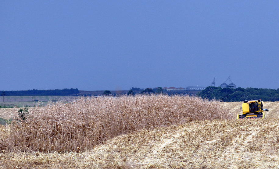VBP do Paraná em 2019 bate
recorde e soma R$ 97,7 bilhões. Fotos Chuniti Kawamura/Arquivo AEN