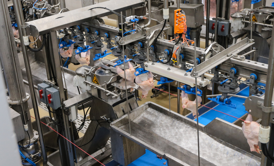 VBP do Paraná em 2019 bate
recorde e soma R$ 97,7 bilhões.