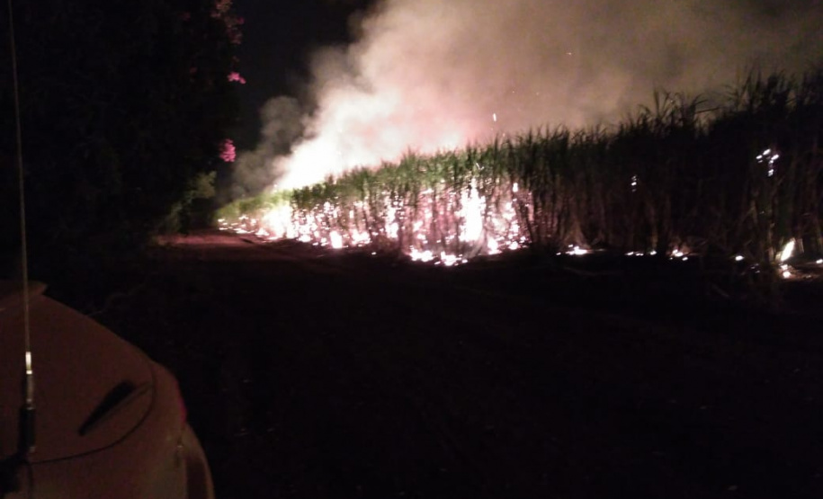 Paraná suspende por 30 dias queimada de cana-de-açúcar. Foto:SEDEST