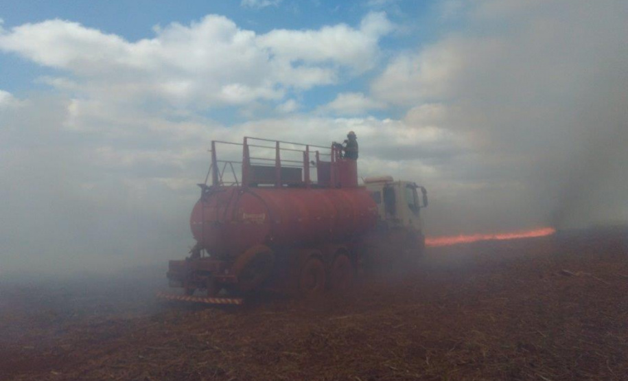 Paraná suspende por 30 dias queimada de cana-de-açúcar. Foto:SEDEST