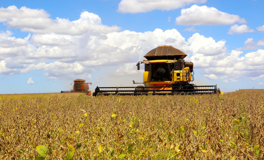 Foto: Jaelson Lucas/AEN