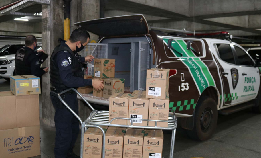 Mais de 134 mil EPIs são repassados a  Guardas Municipais do Paraná. Foto:SESP