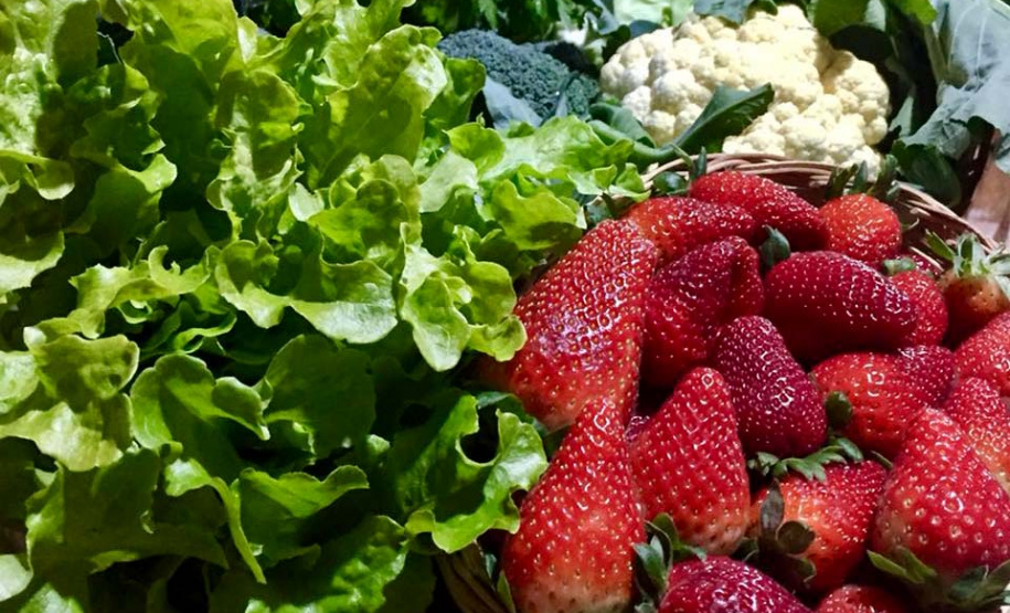 Procura por orgânicos cresce com a pandemia.Foto: Facebook - Chácara Flor e Ser