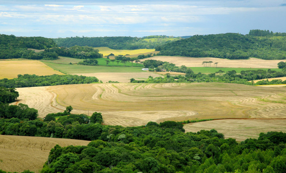 Preço das terras no Paraná cresceu cerca de 12% este ano. Fotos:Jaelson Lucas / AEN