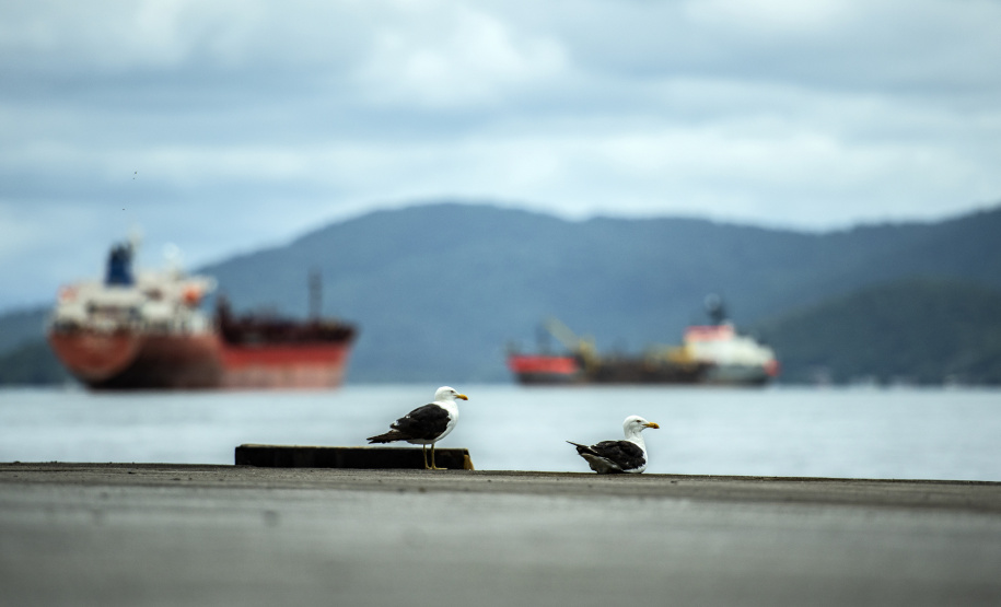 Porto de Paranaguá atinge marca de 99,29% em avaliação ambiental