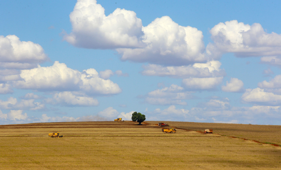 O Boletim Semanal de Conjuntura, referente à semana de 9 a 14 de agosto, destaca nesta sexta-feira (14) o Valor Bruto da Produção (VBP) paranaense de 2019, que fechou em R$ 97,7 bilhões. O boletim é elaborado por técnicos do Departamento de Economia Rural (Deral), da Secretaria da Agricultura e do Abastecimento do Paraná, Foto: Jaelson Lucas/AEN