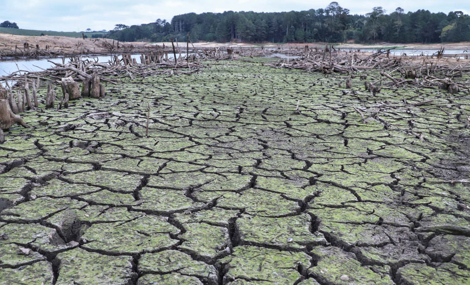 Chuvas não diminuem os  efeitos da estiagem severa
.Iraí. 08/2020.