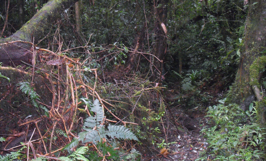 Caminho de Itupava terá complexo de recepção ao turista.Foto:SEDEST