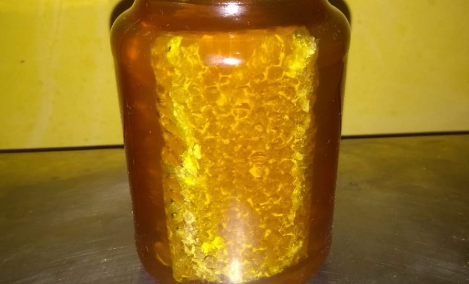 FOTO:Rafael de Almeida Monteiro Cropolato/Arquivo pessoal