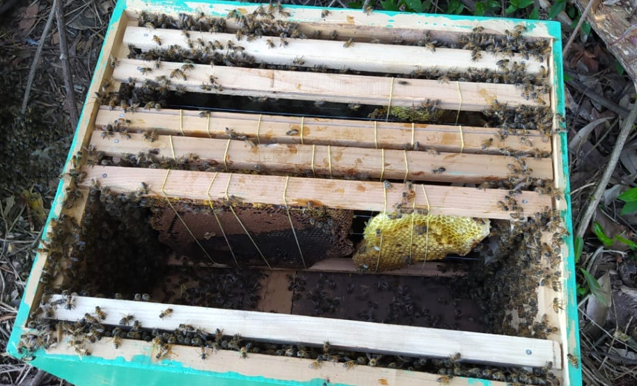 FOTO:Rafael de Almeida Monteiro Cropolato/Arquivo pessoal