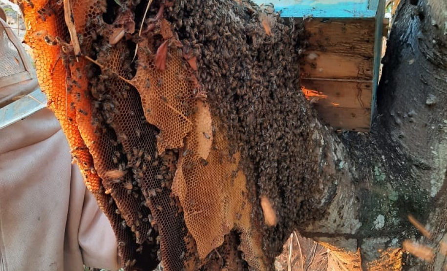 FOTO:Rafael de Almeida Monteiro Cropolato/Arquivo pessoal