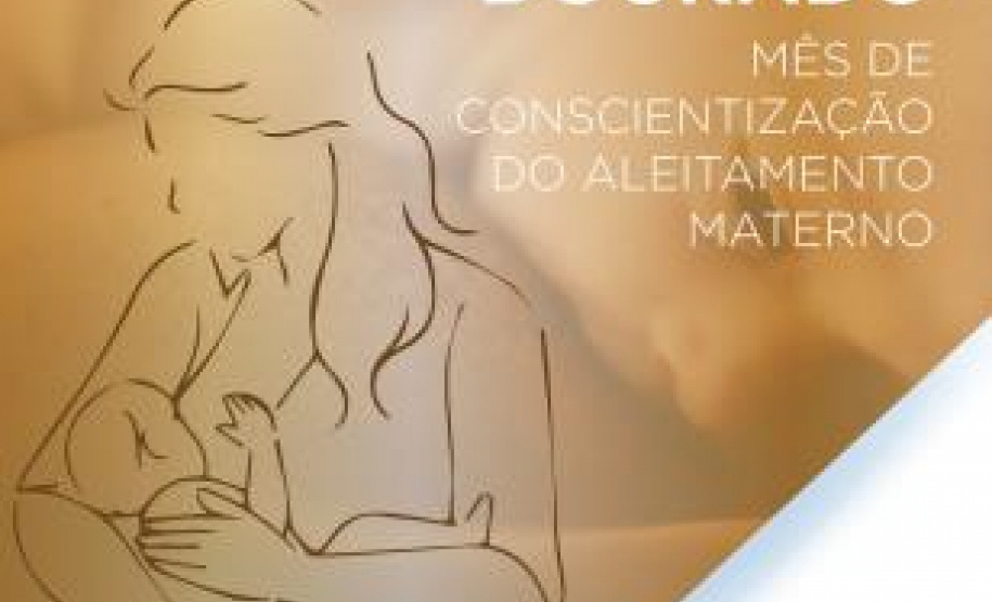 Ações do Agosto Dourado abrangem profissionais da Saúde de todo Estado. Imagem:SESA