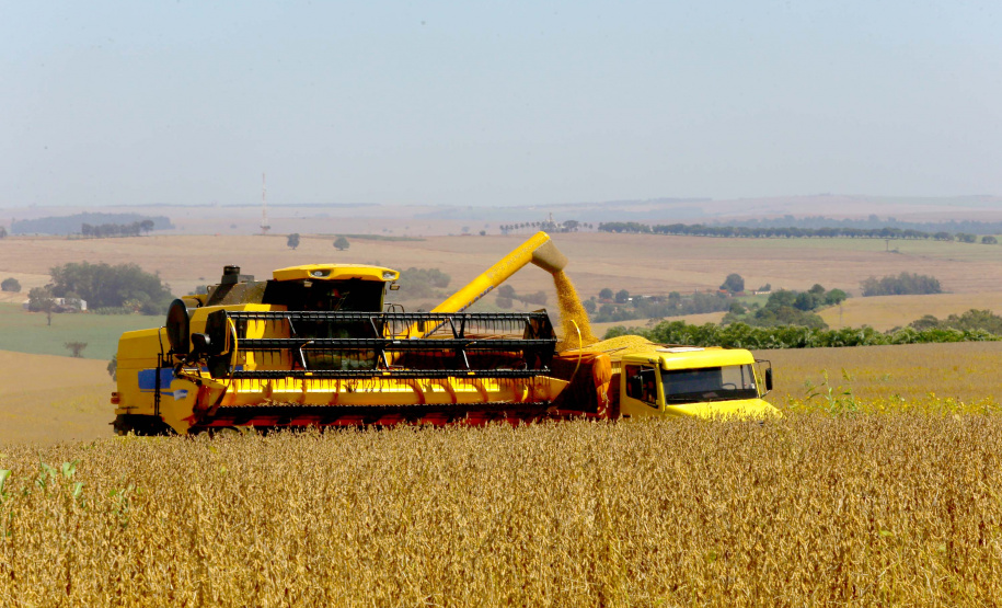 Safra soja 2020. Fotos:Jaelson Lucas / AEN