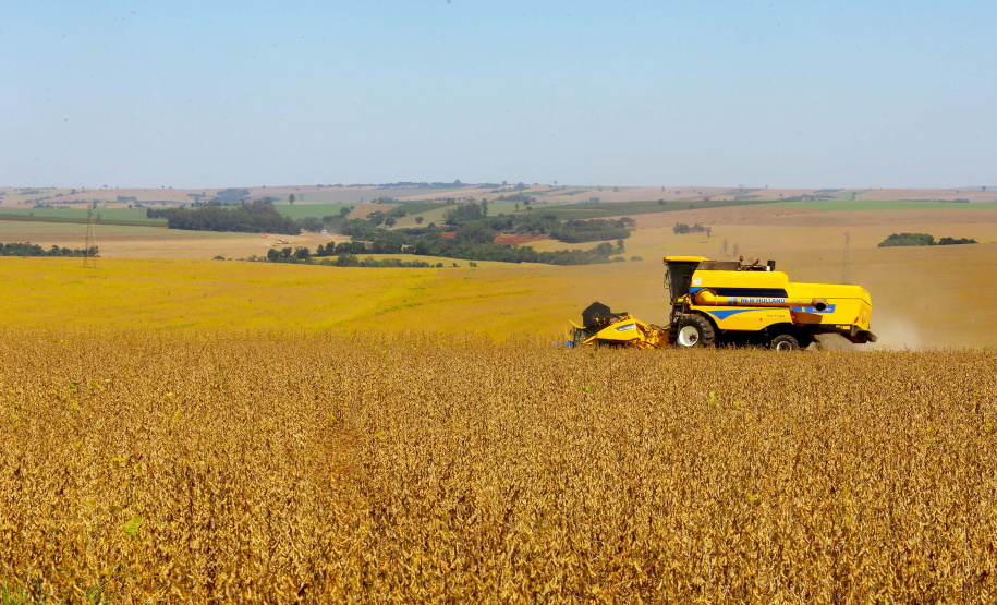 Safra soja 2020. Fotos:Jaelson Lucas / AEN