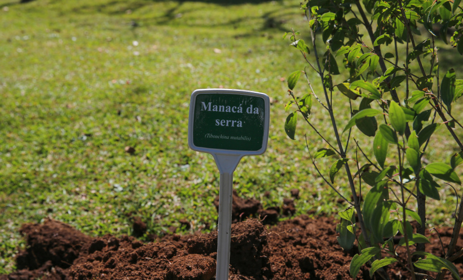 Floresce PR O Governador Carlos Massa Ratinho Junior participa nesta sexta-feira (28), da campanha Floresce Paraná, em comemoração ao Dia Nacional do Voluntariado. A ação é liderada pela primeira-dama do Estado e presidente do Conselho de Ação Solidária, Luciana Saito Massa. Acompanhados do secretário do Desenvolvimento Sustentável e do Turismo, Marcio Nunes. Curitiba, 28/08/2020. Foto: Geraldo Bubniak/AEN