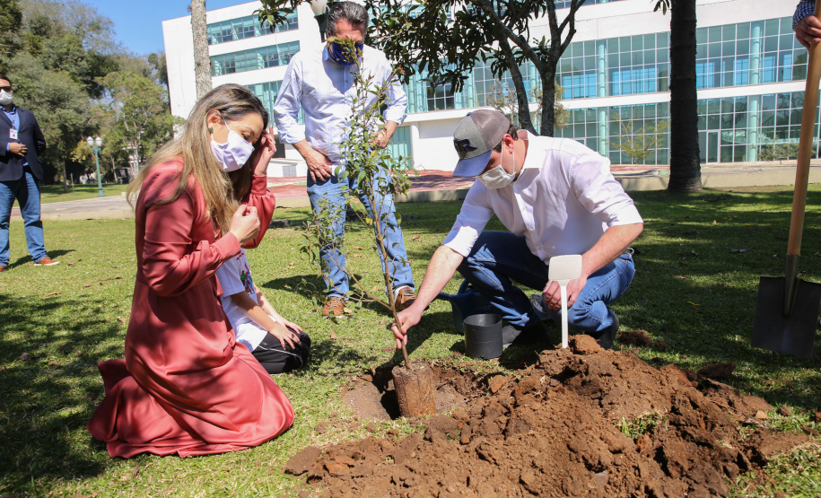 Floresce PR O Governador Carlos Massa Ratinho Junior participa nesta sexta-feira (28), da campanha Floresce Paraná, em comemoração ao Dia Nacional do Voluntariado. A ação é liderada pela primeira-dama do Estado e presidente do Conselho de Ação Solidária, Luciana Saito Massa. Acompanhados do secretário do Desenvolvimento Sustentável e do Turismo, Marcio Nunes. Curitiba, 28/08/2020. Foto: Geraldo Bubniak/AEN