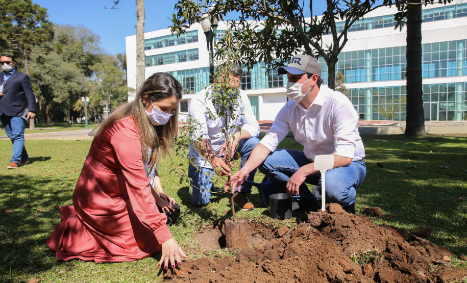Floresce PR O Governador Carlos Massa Ratinho Junior participa nesta sexta-feira (28), da campanha Floresce Paraná, em comemoração ao Dia Nacional do Voluntariado. A ação é liderada pela primeira-dama do Estado e presidente do Conselho de Ação Solidária, Luciana Saito Massa. Acompanhados do secretário do Desenvolvimento Sustentável e do Turismo, Marcio Nunes. Curitiba, 28/08/2020. Foto: Geraldo Bubniak/AEN