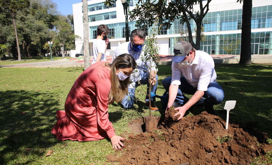 Floresce PR O Governador Carlos Massa Ratinho Junior participa nesta sexta-feira (28), da campanha Floresce Paraná, em comemoração ao Dia Nacional do Voluntariado. A ação é liderada pela primeira-dama do Estado e presidente do Conselho de Ação Solidária, Luciana Saito Massa. Acompanhados do secretário do Desenvolvimento Sustentável e do Turismo, Marcio Nunes. Curitiba, 28/08/2020. Foto: Geraldo Bubniak/AEN