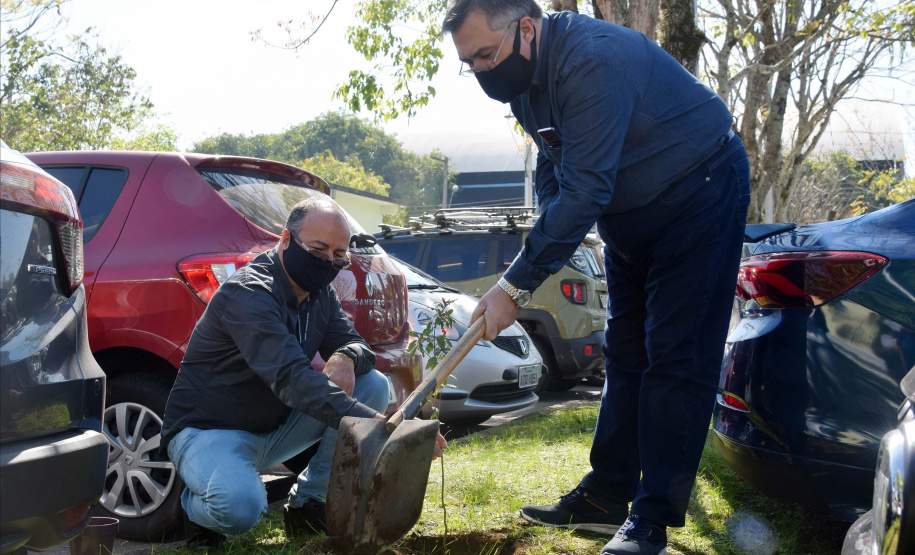 O secretário da Saúde, Beto Preto, participou da campanha e plantou um manacá-da-serra foi plantada nas dependências da secretaria. “É um gesto carregado de simbolismo, e deixamos aqui na Secretaria da Saúde também o registro e a nossa participação”, disse ele.Foto:Américo Antonio/SESA